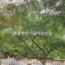 다올 핀란드 펜션 이미지