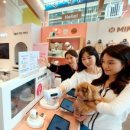 펫플러스 이미지