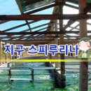 지구스피루리나 - 진주시 | 지구스피루리나