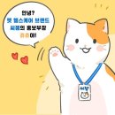 글리밍데이