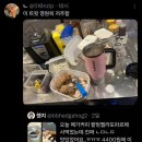 토로커피 이미지