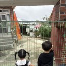 안녕 멈머야 이미지