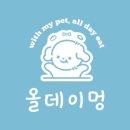 데이, 멍 이미지