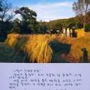 개구리의 엽서 2221/시월의 자연농 교실 이미지