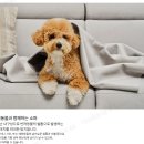 성서한샘타운 | 대구성서한샘타운 한샘 스위브소파 설치후기