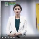 최강합기도 천지관 이미지