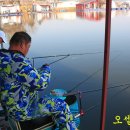 붕어의 신 이미지