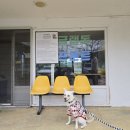 글램독통영 이미지