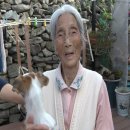 클로버농장 이미지