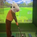 조이실내골프 이미지