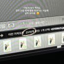 w7. 소율스튜디오 웨딩촬영 솔직 후기 (홍신애 작가님, 촬영 구도, 소품)