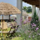 스테이 겨를 이미지