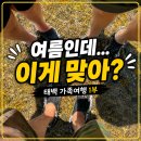 기대1 | 태백여행 1박 2일 후기｜기대 없이 갔다가 우리 가족 여행 베스트3가 된 이유 (1부)