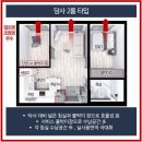 아델리아 이미지