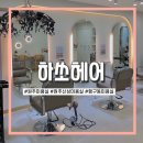 하쏘헤어 이미지