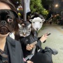 내 감정에 충실할 거야