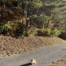 (주)중산힐스 이미지