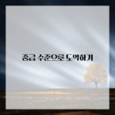 기초 유화 이미지