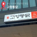 고향참기름집 | 울산 우정동 치킨맛집 고향통닭 포장 솔직후기 부산3대치킨