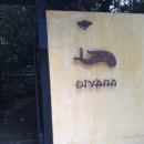 디바인 메디칼 이미지