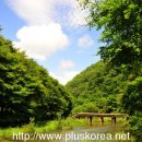 순창약국 이미지