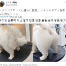 빵실빵실 이미지