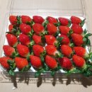 싱싱딸기 이미지