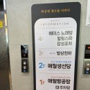 애월생선당