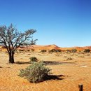 의성한의원 이미지