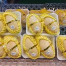 더좋은유통 이미지