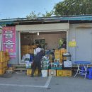 포도향이흐르는마을 이미지