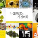 사진예술 이미지