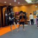 (주)지오미트