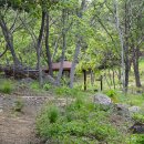 마래산 둘레길 이미지