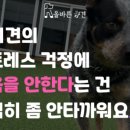 올바른참견 이미지