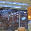 멍멍이냥 이미지