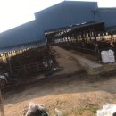 게바농장 이미지