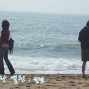 수희민박 이미지