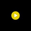 루즈벨트 손해배상 청구소송 이미지