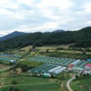 이레올래 이미지