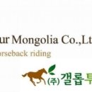 갤롭투어주