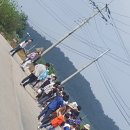 정일초등학교 이미지