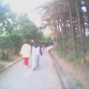 노적봉길 이미지