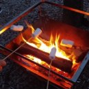 일영약국 이미지