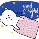 DOGZONE 네이버블로그