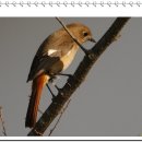 당골농장 이미지