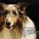 개과천선 이미지