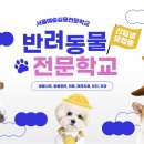 한국동물실용전문학교 이미지