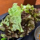 수원역삼겹살맛집 987솥뚜껑삼겹살 솔직후기