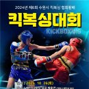 타이혼 복싱 킥복싱 이미지